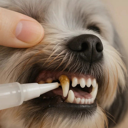 ✨🐾Haz que tu mascota SONRÍA 🐾 Dientes limpios y aliento fresco en minutos.