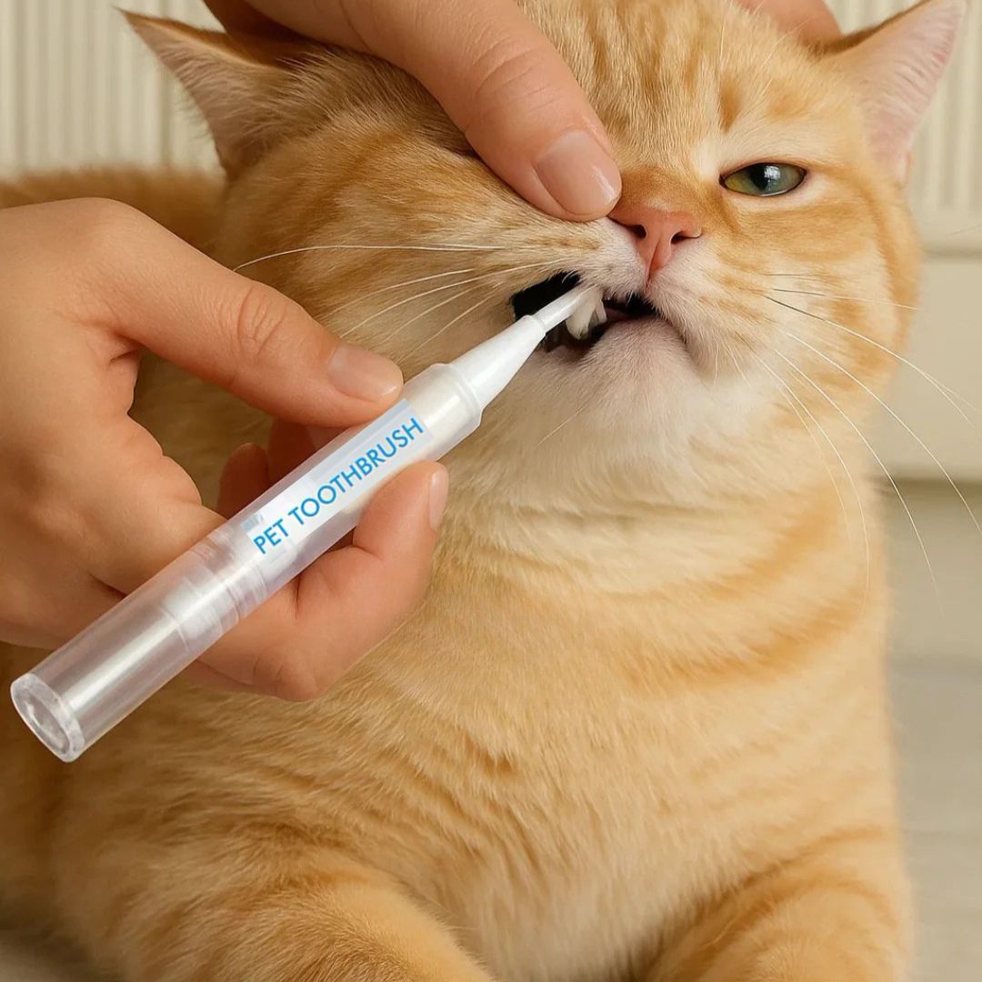 ✨🐾Haz que tu mascota SONRÍA 🐾 Dientes limpios y aliento fresco en minutos.