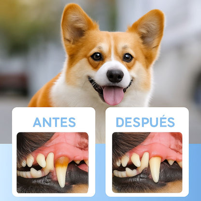 ✨🐾Haz que tu mascota SONRÍA 🐾 Dientes limpios y aliento fresco en minutos.
